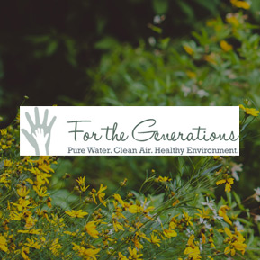 For the Generations, Website Design